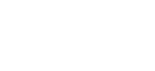 Partner 80