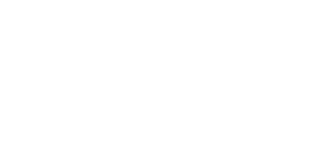 Partner 81